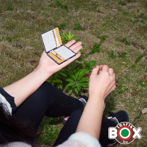 Cigarettatárca SPIRIt OF St. LOUIS Fém minta, 20 szálas 40519088